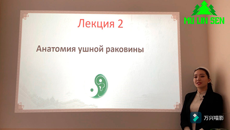 Аурикулотерапия - Лекция 2