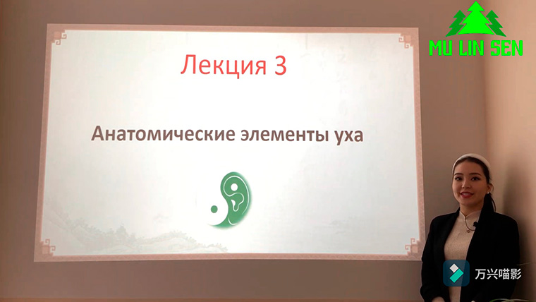 Аурикулотерапия - Лекция 3